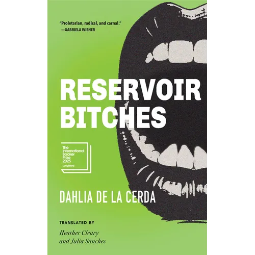Reservoir Bitches: Stories