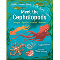 Meet the Cephalopods: Octopus, Squid, Cuttlefish, Nautilus