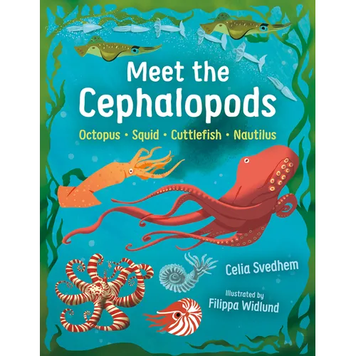 Meet the Cephalopods: Octopus, Squid, Cuttlefish, Nautilus