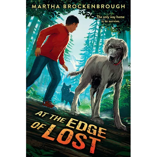 At the Edge of Lost