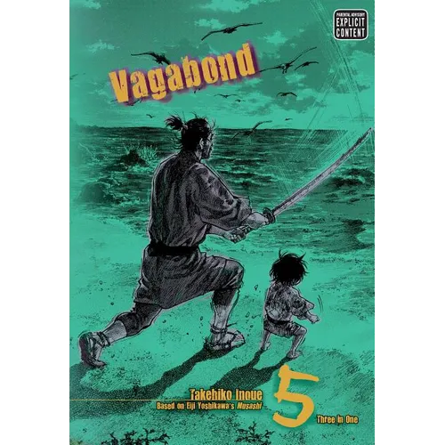Vagabond (Vizbig Edition), Vol. 5: Glimmering Waves