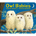 Owl Babies