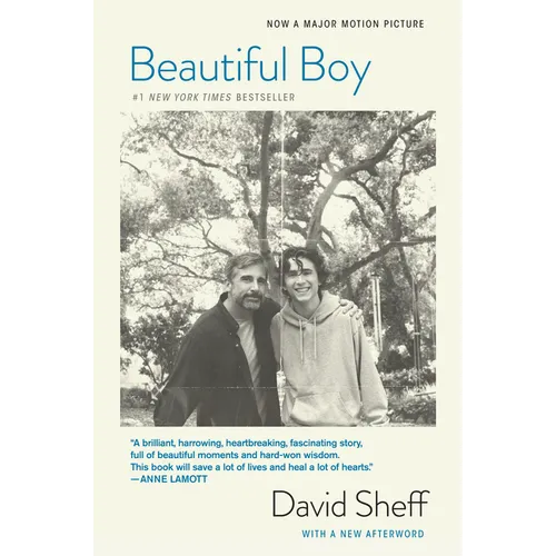Beautiful Boy (Tie-In): A Father's Journey Through His Son's Addiction